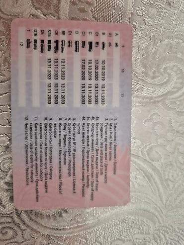 IT, компьютеры, связь: Услуги профессионального водителя-дальнобойщика - Все категории прав — 3