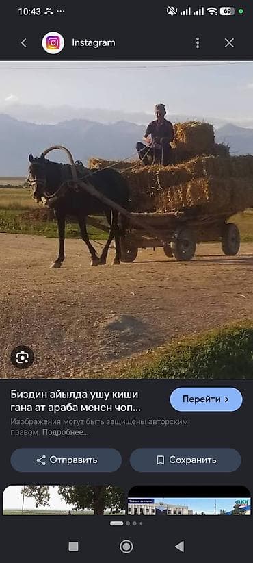косилки бензиновые: Куплю Конную повозку, старую. с деревянными колесами — 1
