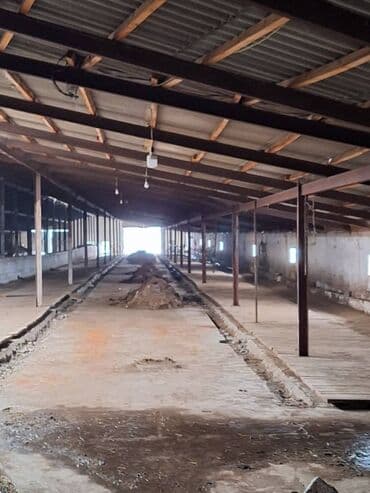 изу земельный дом жил массив кок жара: Продаю Ферма КРС, 1000 соток, Действующий, С оборудованием, Электричество — 5