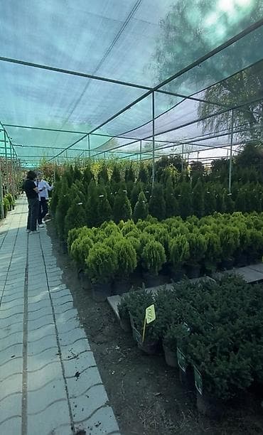 охрана вакансия: Ландшафтные работы и автополив под ключ Профессионально обустраиваем — 6