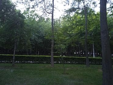 квартиры в беловодское: 2 комнаты, 49 м², 106 серия, 2 этаж — 4