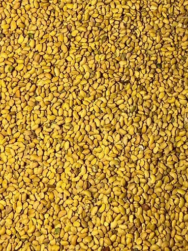 Беде урук сатылат 6 жылдык беде Петкусдан тазаланган