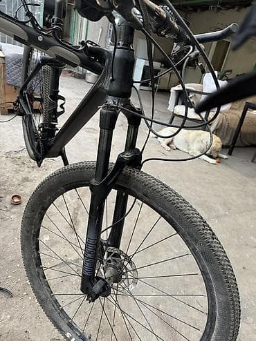 пена балон: Горный велосипед, Рама XL (180 - 195 см), Карбон, Б/у — 5