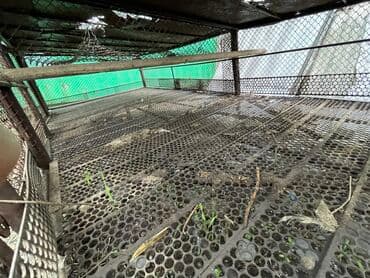 продажа щенков немецкой овчарки с документами в бишкеке: Продаю железную клетку, пол из высечки, бока сетка, можно разделить на — 8