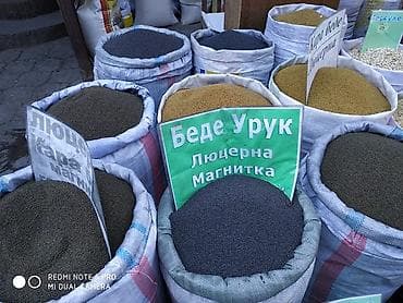 Уголь: Семена кормовых растений: Люцерна, Самовывоз — 5