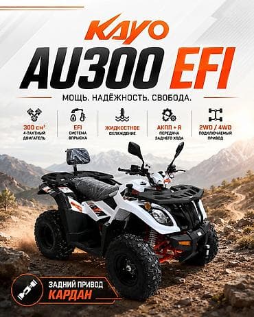 Квадроциклы: 🔥🔥KAYO AU300 EFI 🔥🔥 от компании ТЕХНОМАШ!!! официальный — 1