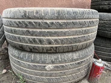 шины для фур: 245/55/19 
Пара — 2