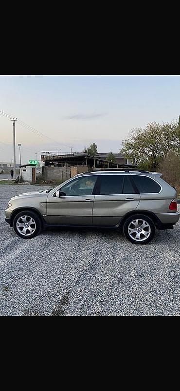 bmw 2: BMW X5: 2003 г., 4.4 л, Автомат, Бензин, Кроссовер — 6