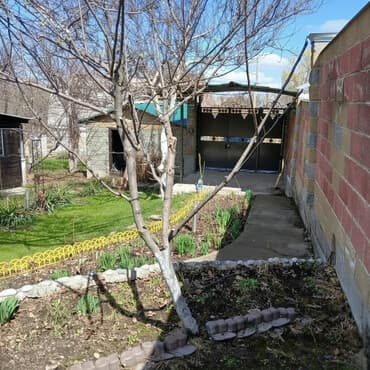 дом у озера: Дача, 37 м², 4 комнаты, Собственник, Косметический ремонт — 1