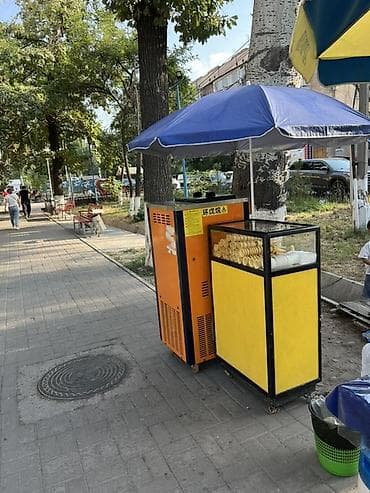 Оборудование для производства: Передвижная точка по продаже мороженого/замороженных десертов — 2