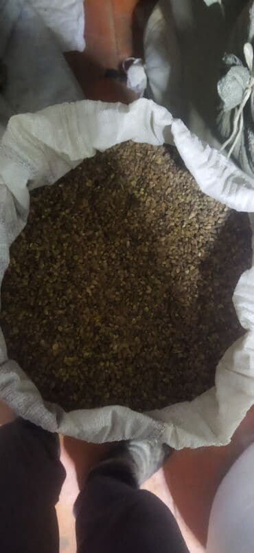 эт ара: Лён семя (льняное семя) в мешках. - Натуральные цельные семена льна — 2