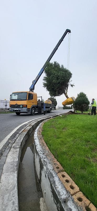 Услуги манипулятора 24/7 - Профессиональная пересадка взрослых