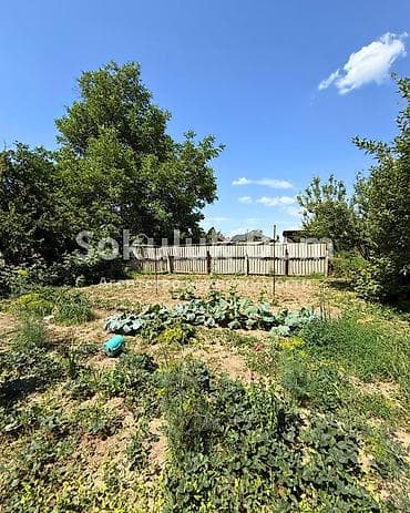 селом: 🏠Продается дом в с. Первомайское 🟡Комнаты: 4 🟡Участок: 17,33 соток — 8