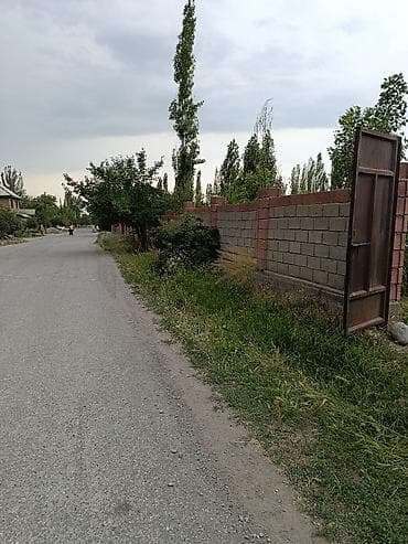26 соток, Красная книга