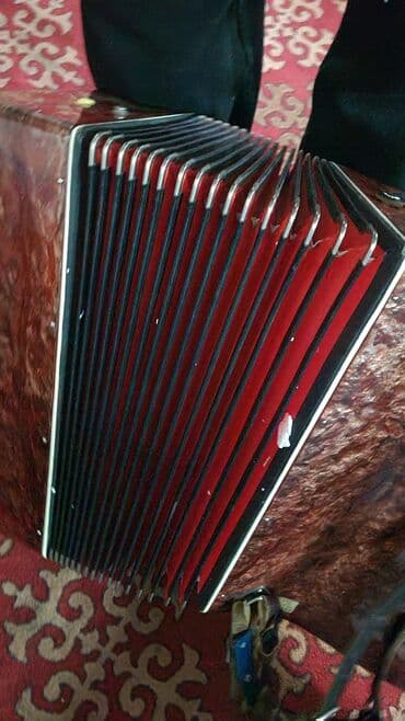 Барабаны: Аккордеон Срочна сатылат абалы ото жакшы березка ундору ачылган воздух — 4