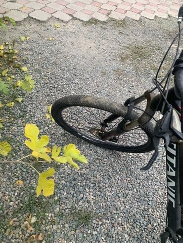 горный велосипед с широкими колесами: Горный велосипед, Рама M (156 - 178 см), Сталь — 4