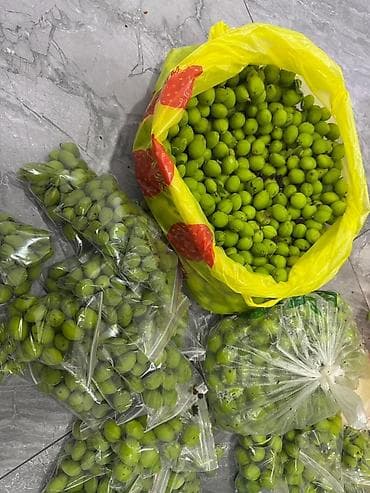 мөмө жемиш: Зелёные алычи (недозрелая слива) — мелкие плоды ярко‑зеленого цвета — 4