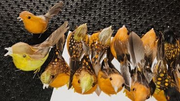 перепела яйца: Декоративные птички для оформления и рукоделия, по 5 сом ( за 1 шт ) — 1