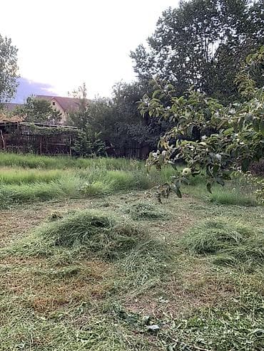 собаки сокулук: БЕСПЛАТНО!!! Чопту чаап берсениздер бесплатно берем чопту Сено из — 2