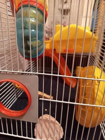 Морские свинки: Клетка для хомяка с игровым лабиринтом - Просторная металлическая — 4