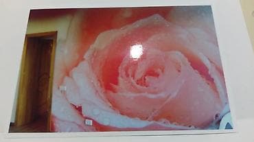 Ремонт под ключ: Декоративные отделочные работы под ключ - Натяжные потолки с — 6