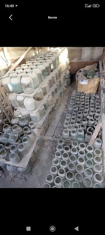 грибы оптом: Банки, Б/у, Самовывоз — 1