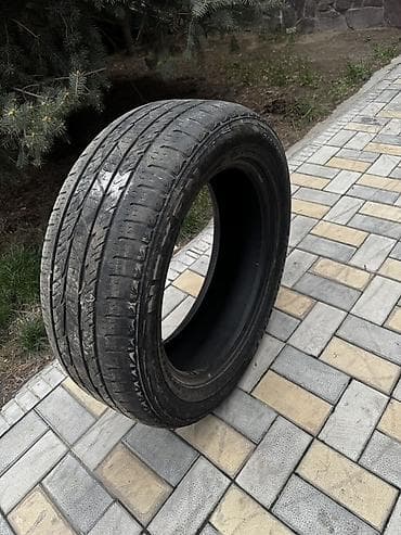 w210 55: Летние автомобильные шины 245/55 R19 103 - Размер: 245/55 R19 - — 2