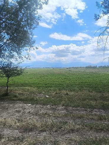 8300 соток Для сельского хозяйства