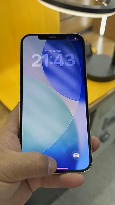another 13: IPhone 12 Pro Max, Б/у, 256 ГБ, 100 % — 9