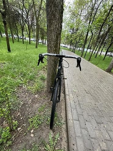 Шоссе велосипеди, Велосипед алкагы XL (180 - 195 см), Жаңы — 2