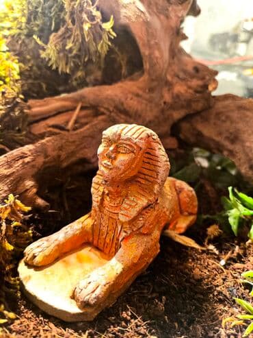 акустические системы atlanfa колонка в виде собак: 🌿 Украшения и декорации для аквариумов и террариумов 🌿 Продаю — 10