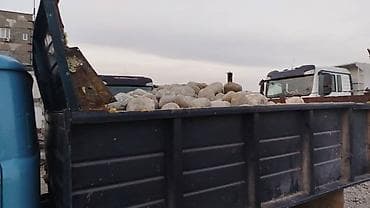 гравии: Смесь щебень и отсев, Чистая, Для фундамента — 5