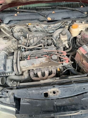 машины на заказ из кореи: Daewoo Nexia: 2009 г., 1.6 л, Механика, Бензиновая, Седан — 5