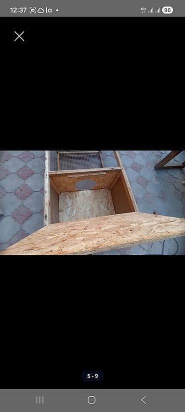 гусы: Уяча, гнездо с выгулом для цыплят утят гусят и тд, мини курятник — 4