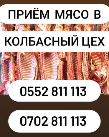 Сатып алам | Уйлар, букалар, Жылкылар, аттар | Бардык шартта, Союлган, Союуга, этке lalafo.kg да Сатып алам | Уйлар, букалар, Жылкылар, аттар | Бардык шартта, Союлган, Союуга, этке