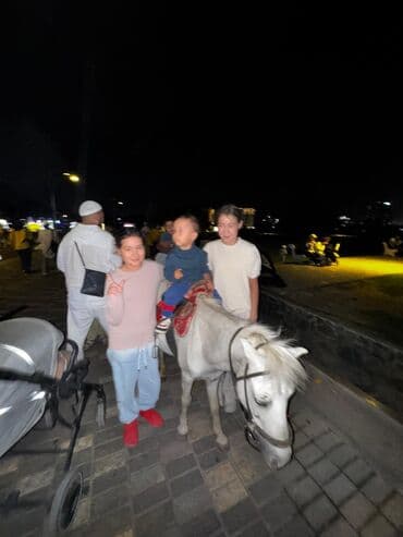 домкрат на лексус: Lexus RX: 2005 г., 3.3 л, Автомат, Гибрид, Кроссовер — 8