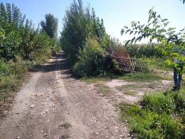 земельный участок мурас ордо: 40 соток, Айыл чарба үчүн — 4