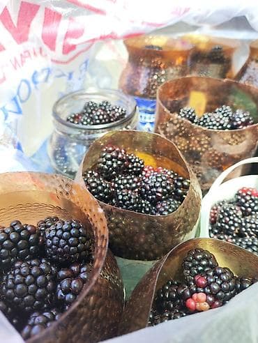 Продукты питания: Свежесобранная ежемалина. каждые 3-5 дней. одна банка в среднем 600 — 2