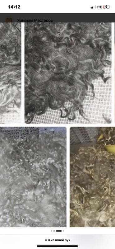 Оборудование для швейных цехов: Козий пух для рукоделия - Натуральный козий пух, расчесанный — 2