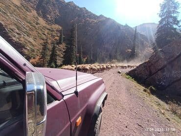 шипованные шины б у: Nissan Patrol: 1993 г., 2.8 л, Механика, Дизель, Внедорожник — 10