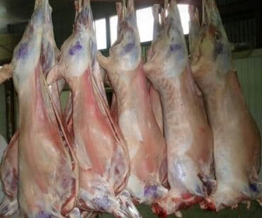 оболочка для колбасы: Баранина  — 2