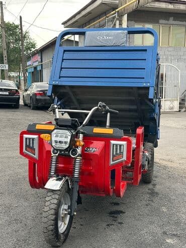 продам электромотоцикл: Мотороллер муравей Электро, 80 км, 1500 кг и более, Новый — 8