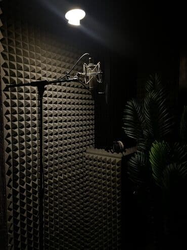 Микрофоны: Студия звукозаписи Wave Music 📌 У нас вы можете: • Записать вокал — 3