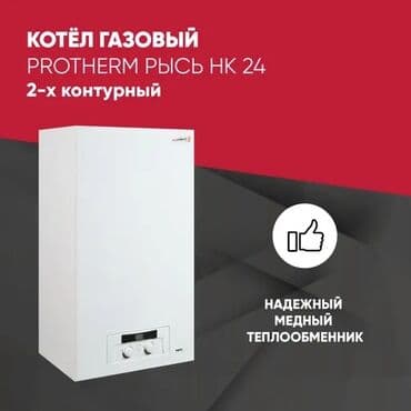 котёл сапок: Протерм Рысь 9-24-28 квт Protherm Lynx 9 квт - 28 квт Газовый — 1