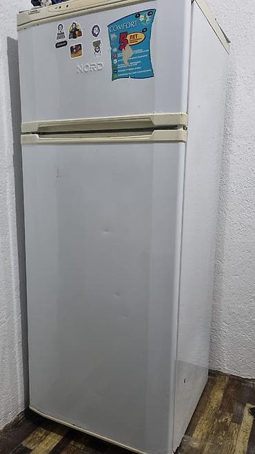 daf tandem: Холодильник Nord, Двухкамерный — 1