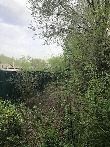 с байтик дом: Продаётся жилой дом. СРОЧНО - Планировка: несколько комнат — 1