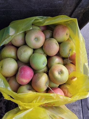 яблоки 1 кг: Яблоки — 1