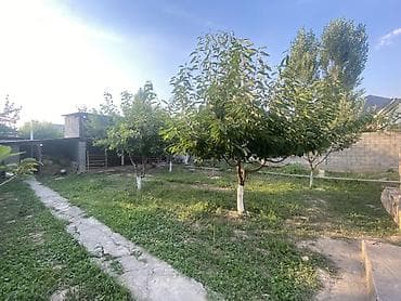 Кыймылсыз мүлк: Продаётся жилой дом с большим приусадебным участком и хозяйственным — 5