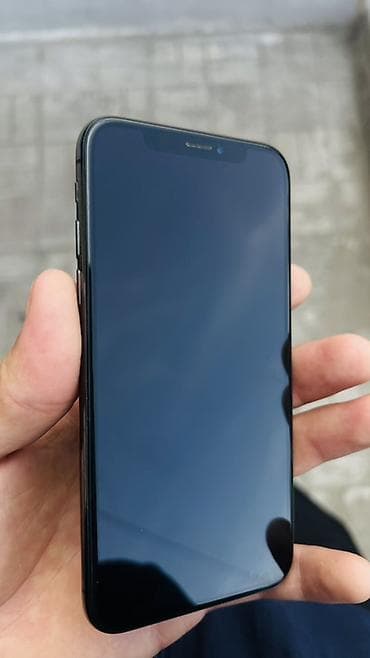 экшин камера: IPhone Xs, Б/у, 256 ГБ, Space Gray, Чехол, 67 % — 1