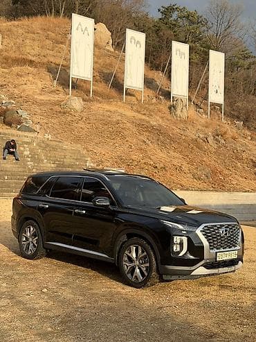 transporter multivan: Hyundai Palisade: 2020 г., 2.2 л, Автомат, Дизель, Кроссовер — 3